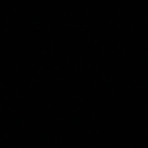 Meet your Posher, Jacky